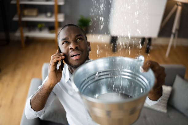 Best Water damage restoration near me  in Cottonwood, AZ