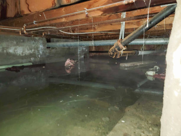 Water damage restoration mold remediation in Cottonwood, AZ