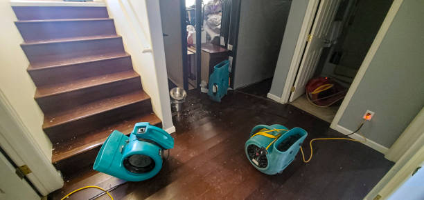 Best Water damage contractors near me  in Cottonwood, AZ