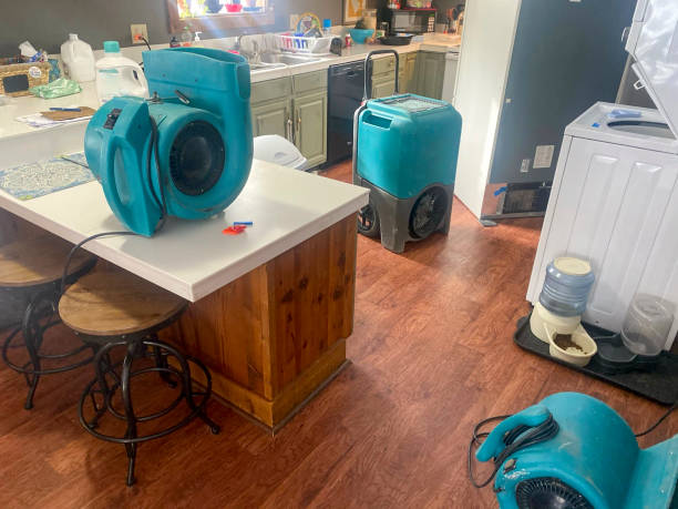 Best Local water damage restoration  in Cottonwood, AZ