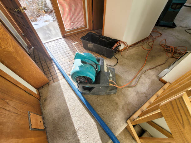 Best Basement water damage restoration  in Cottonwood, AZ