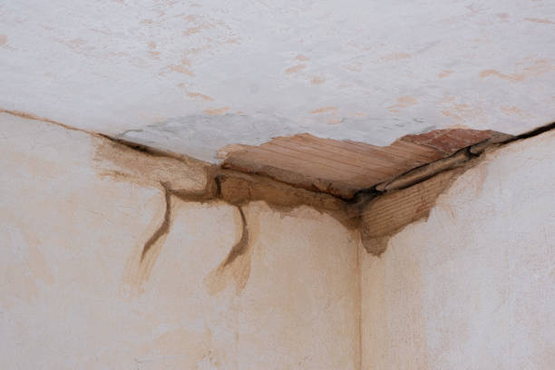 Best Mold removal after water damage  in Cottonwood, AZ