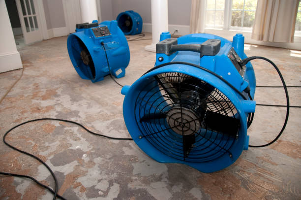 Best Residential water damage restoration  in Cottonwood, AZ