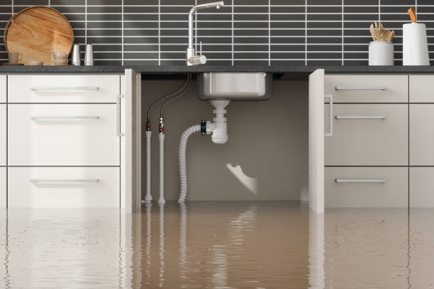  Cottonwood, AZ Water damage restoration Pros