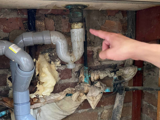 Best Sewage cleanup and water damage restoration  in Cottonwood, AZ