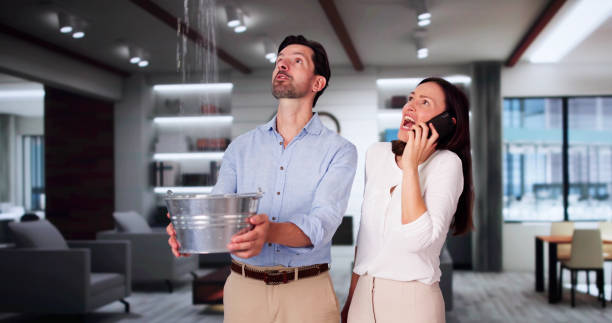 Best Commercial water damage restoration  in Cottonwood, AZ